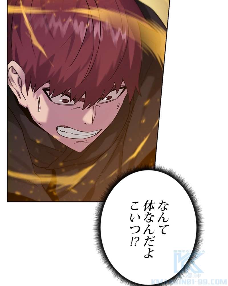 P61