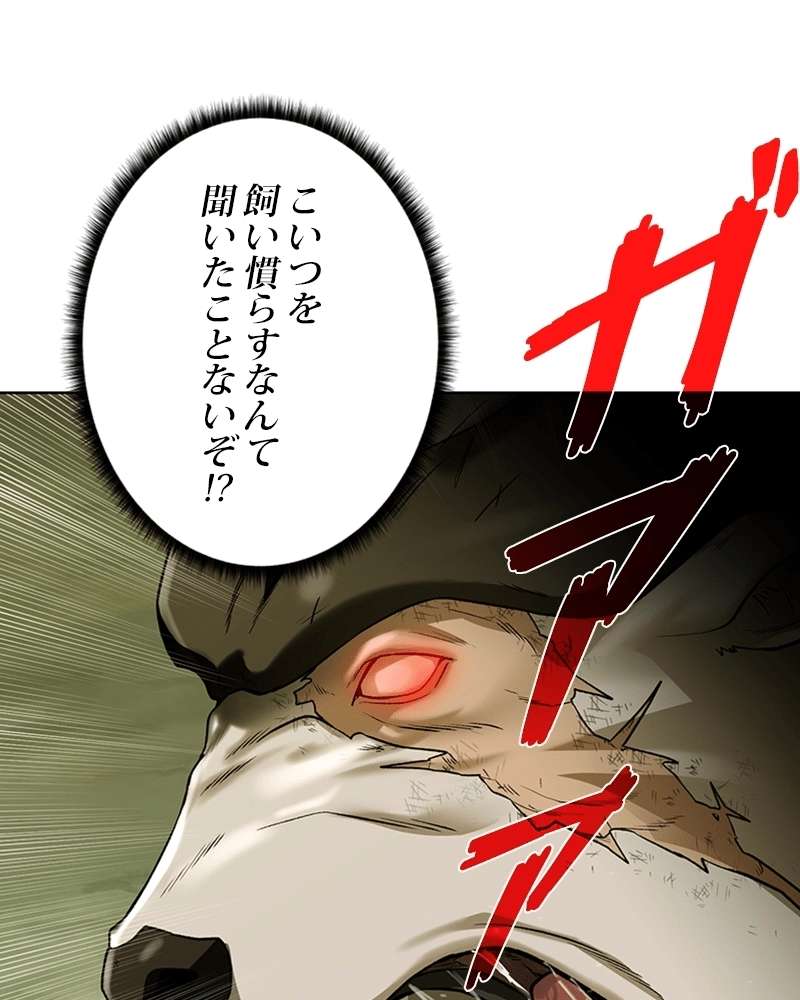 P61