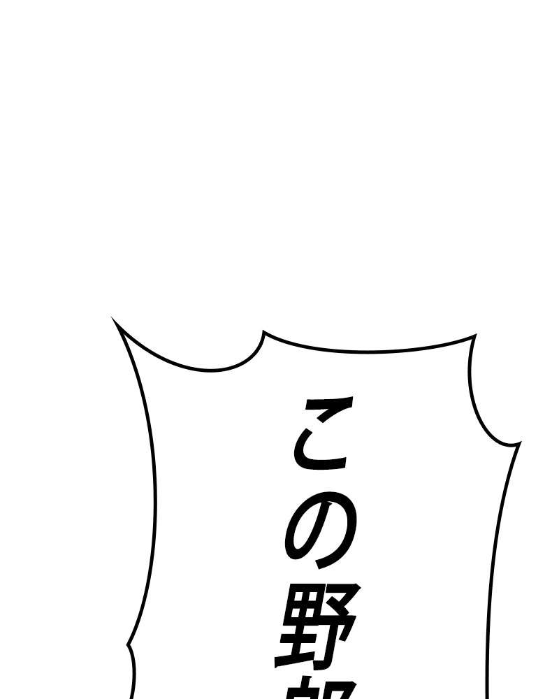 P66