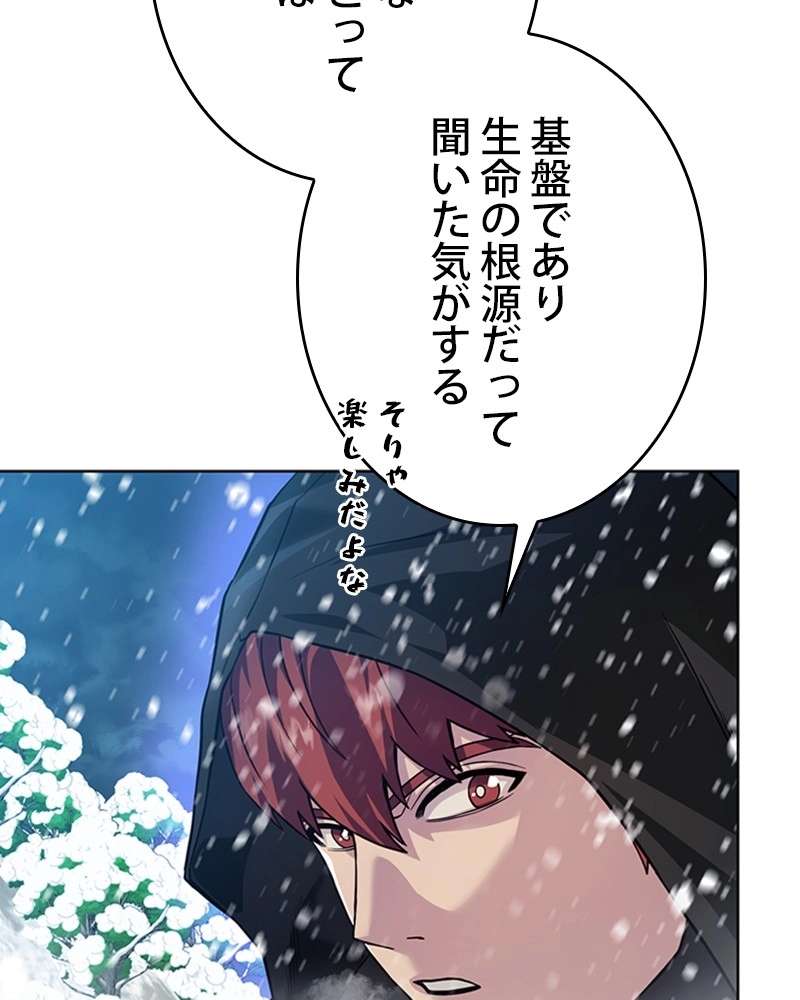 P53