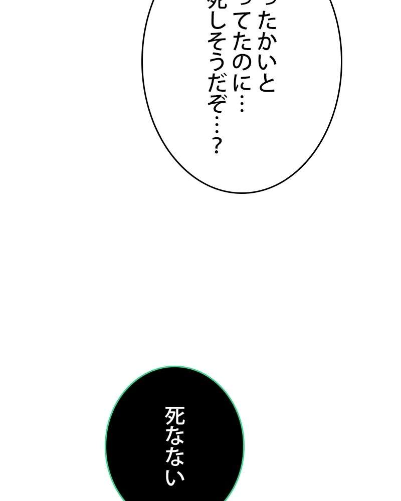 P63
