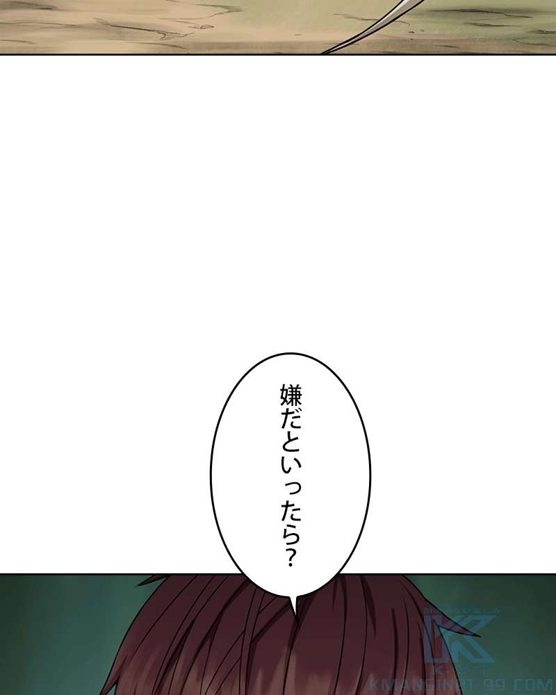 P113