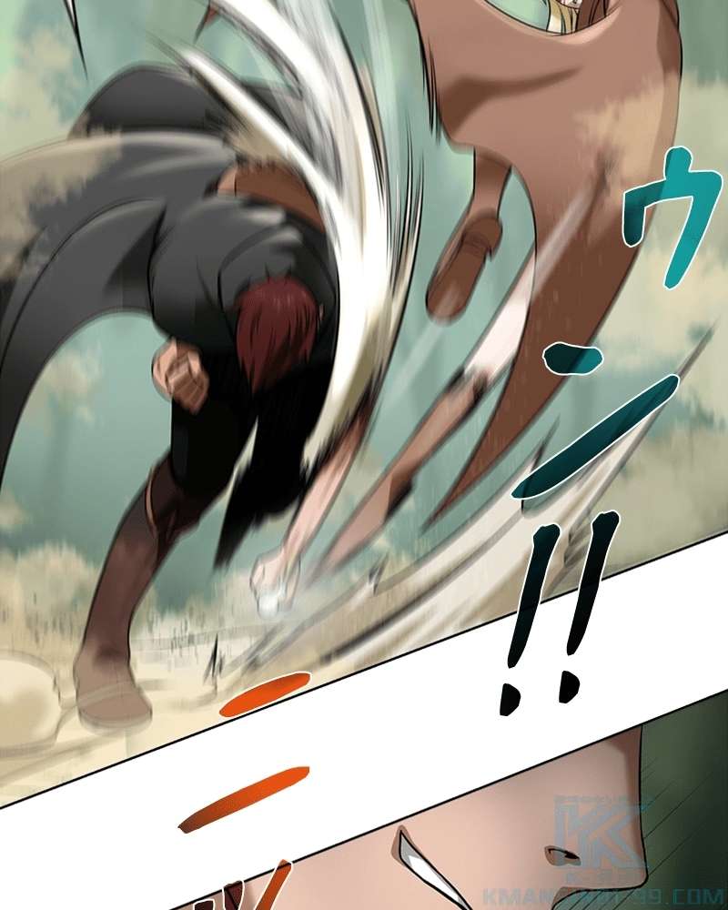 P53