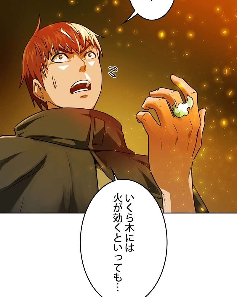 P48