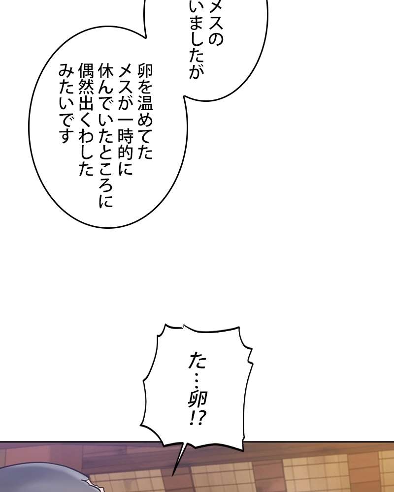 P65