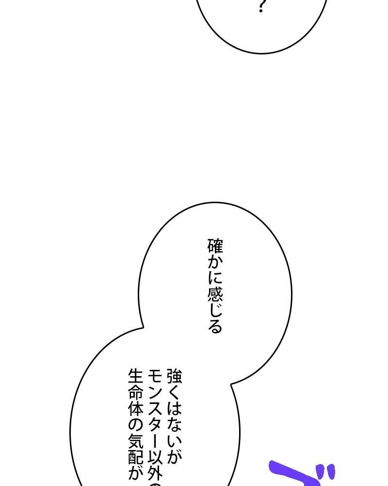 P48