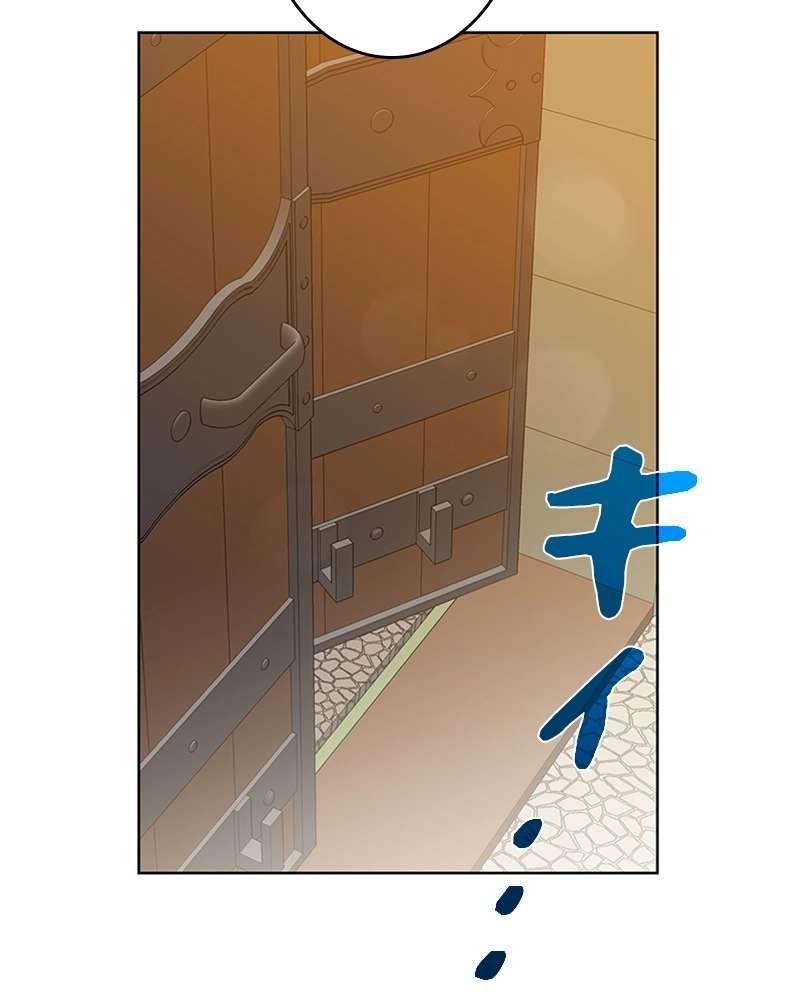 P81