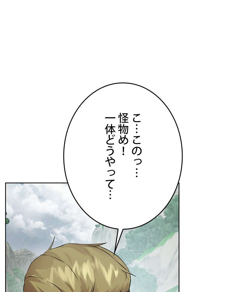 P66