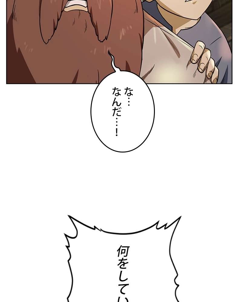 P63