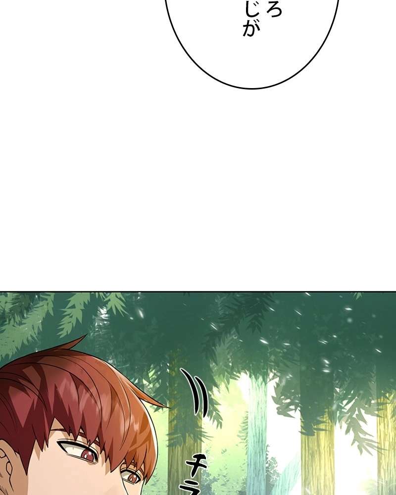 P53