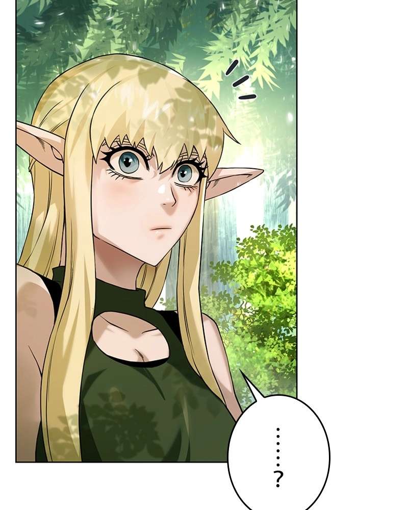 P63