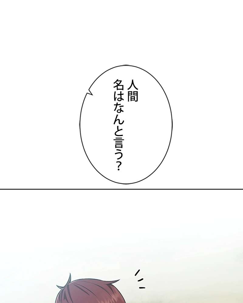P40
