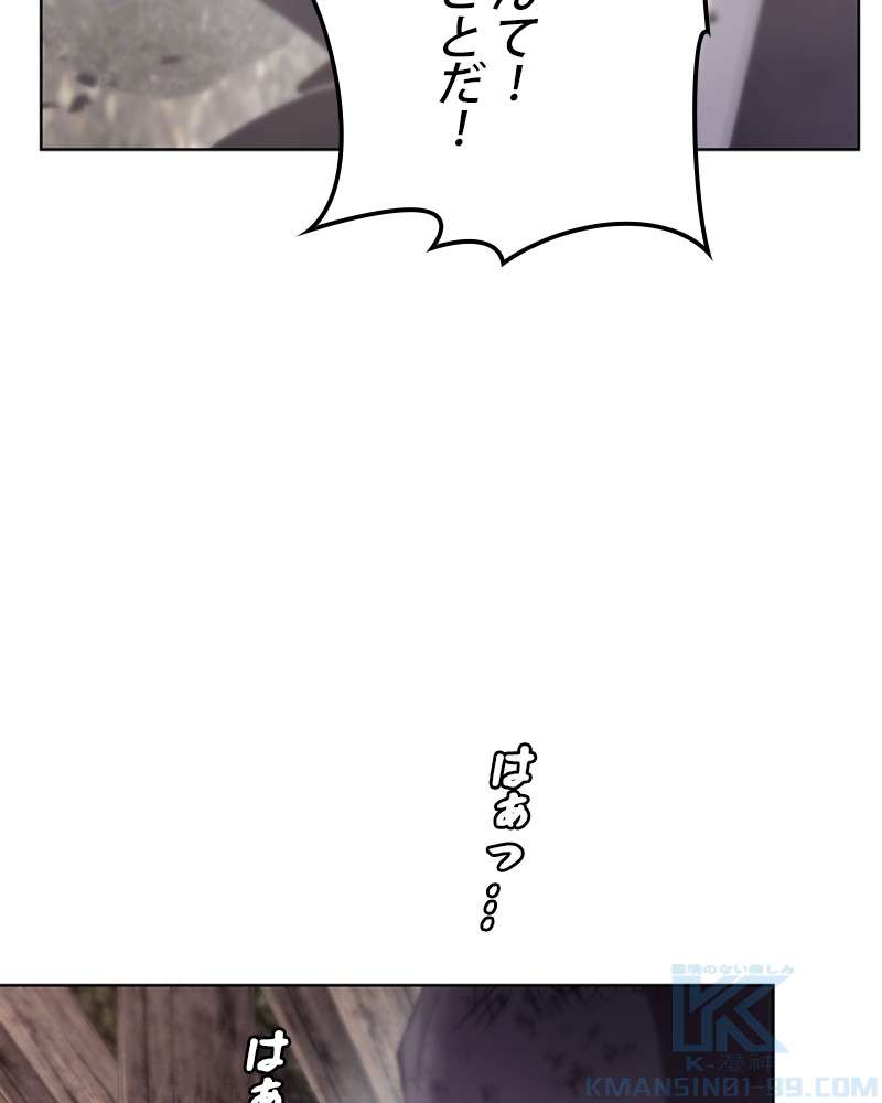 P58