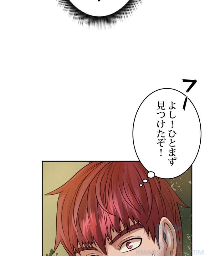 P113