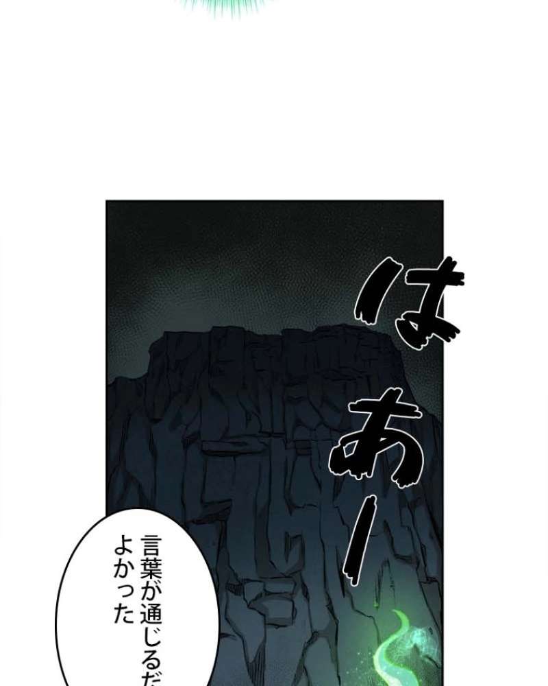 P66