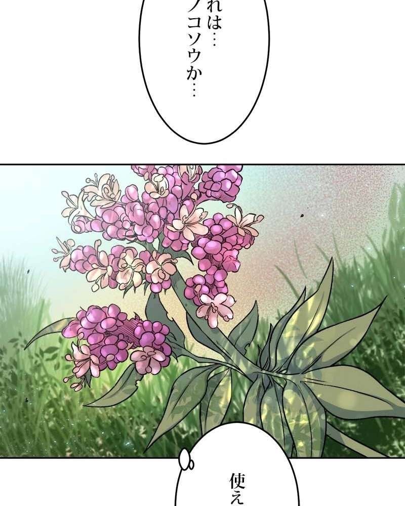 P60