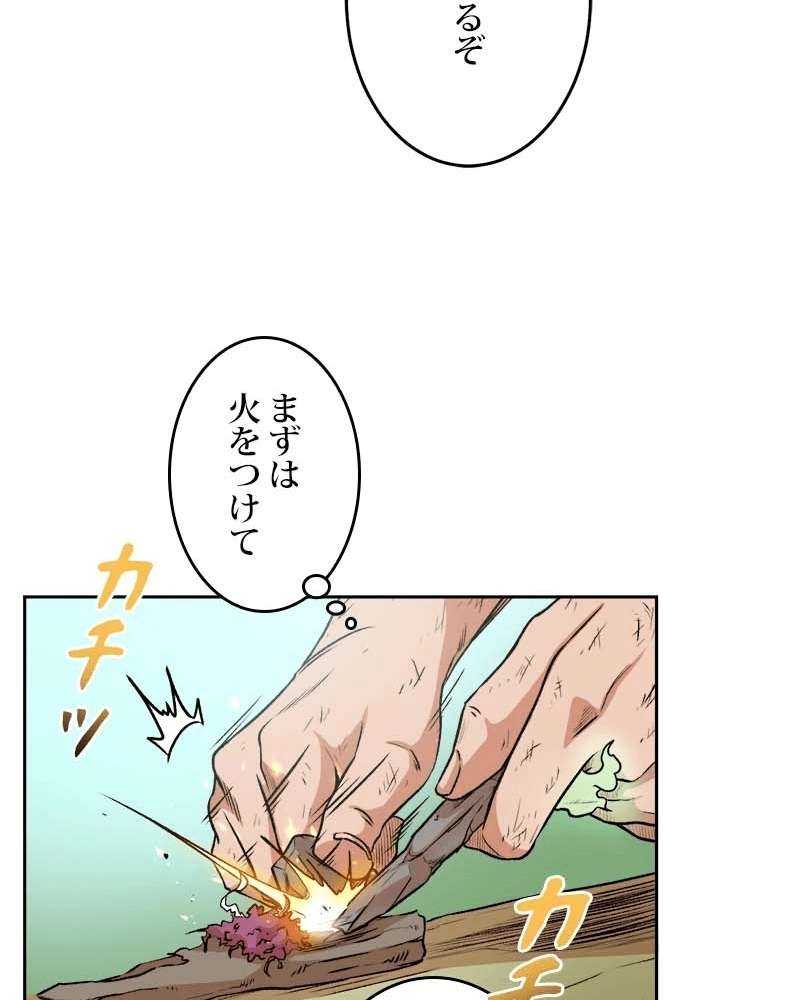 P61