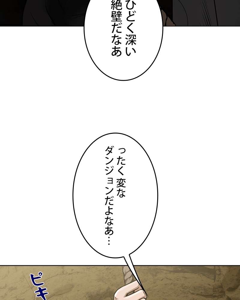 P48