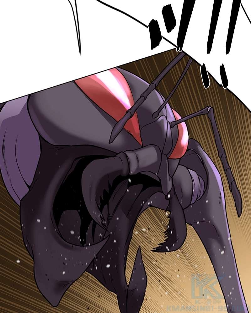 P62