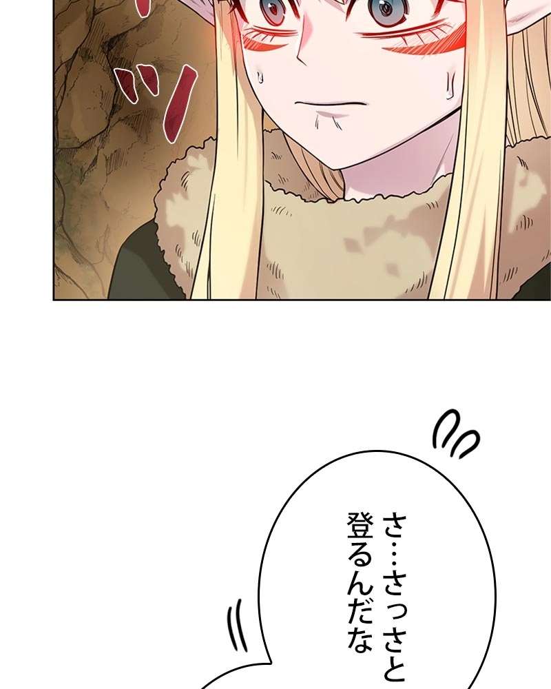 P66
