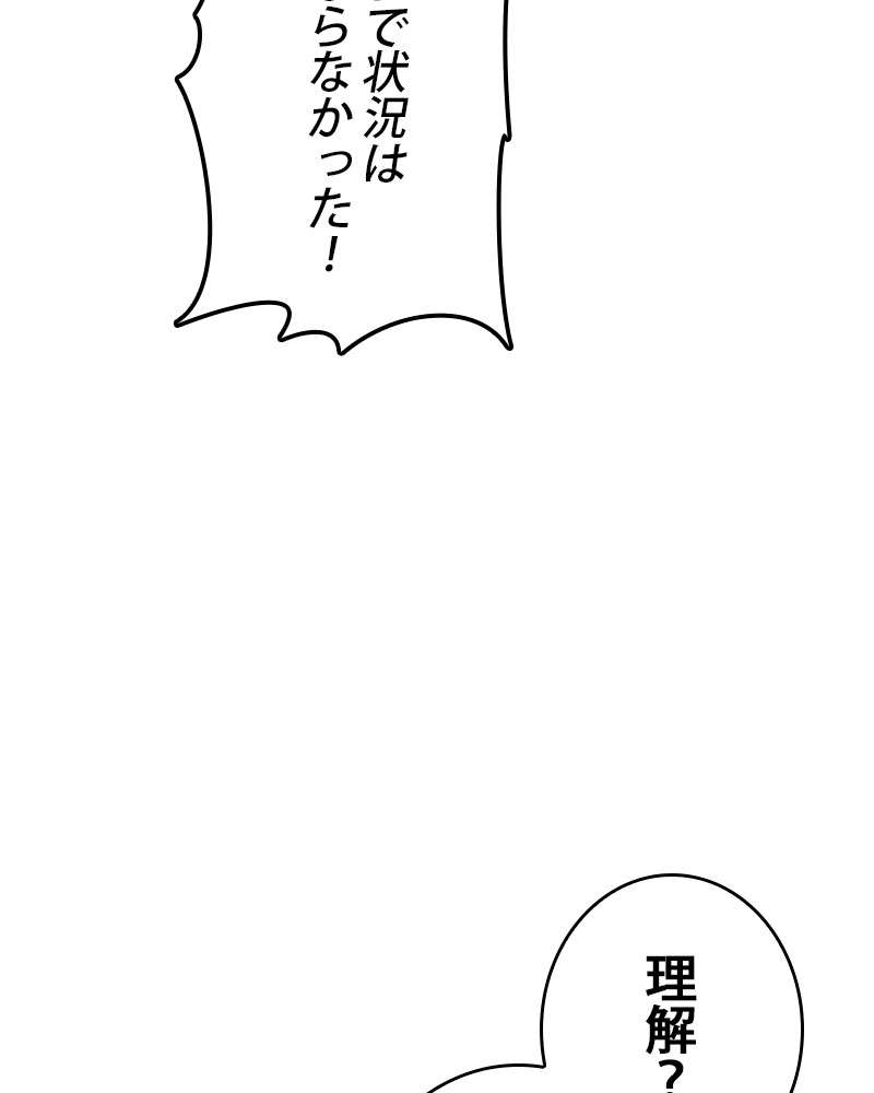 P113