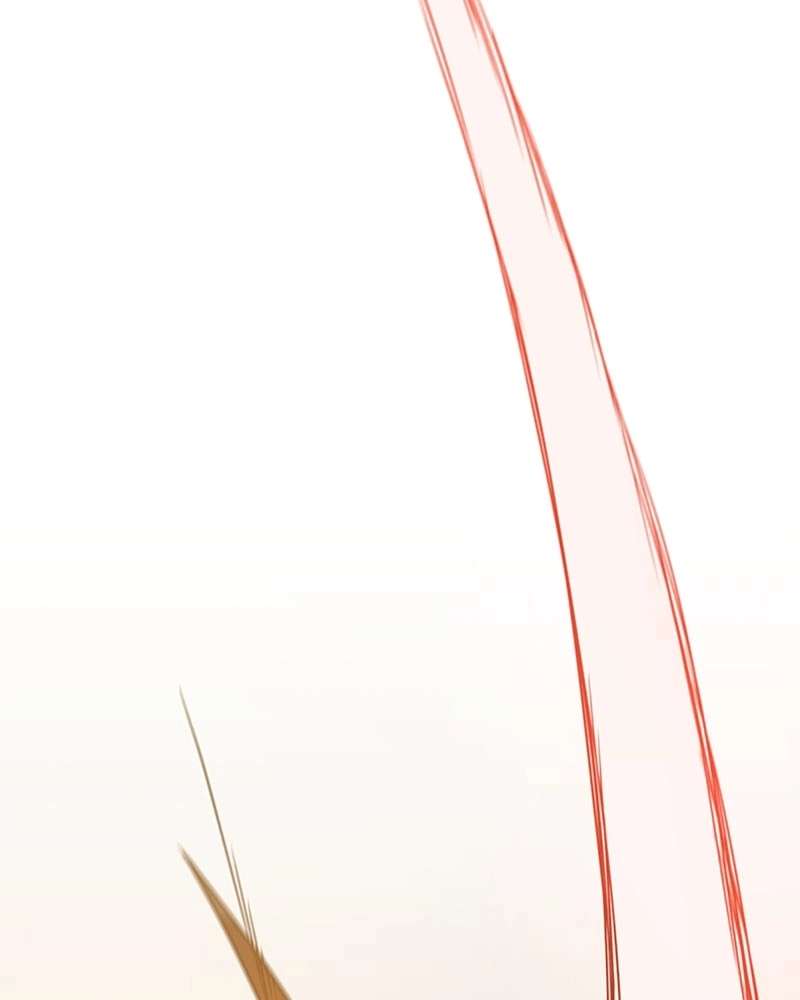 P46