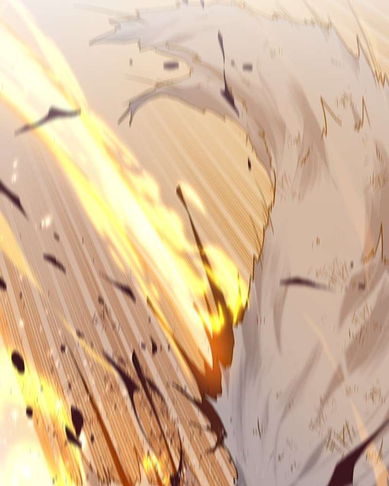 P113