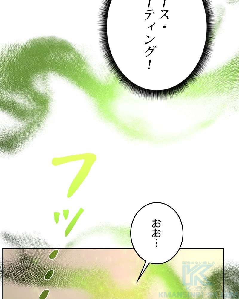 P133