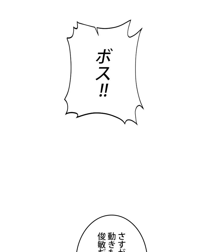 P84