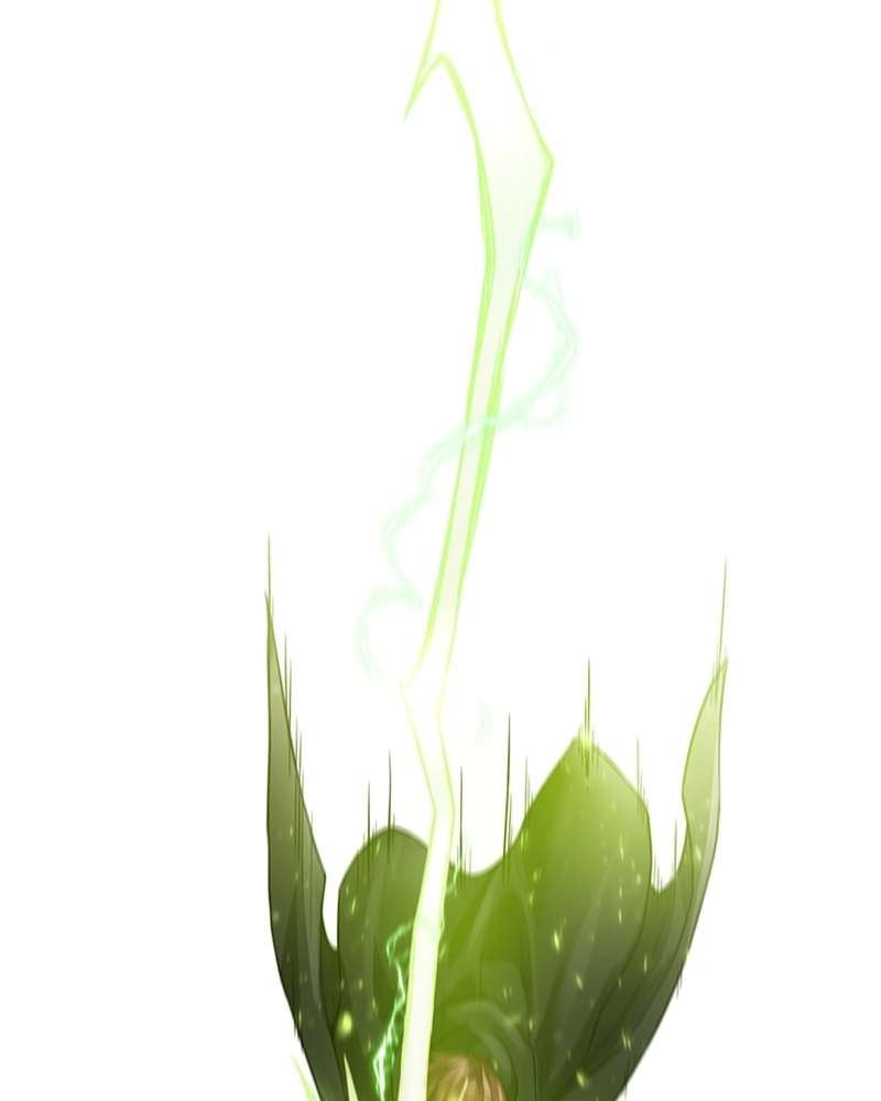 P53