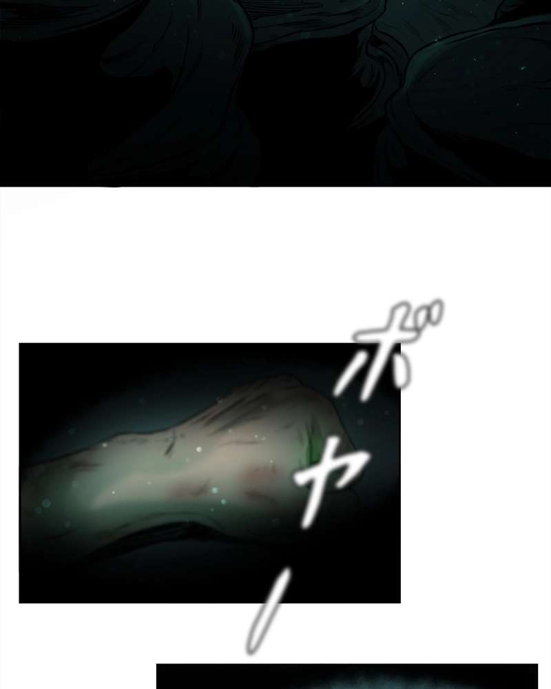 P258