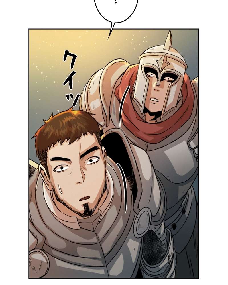 P63