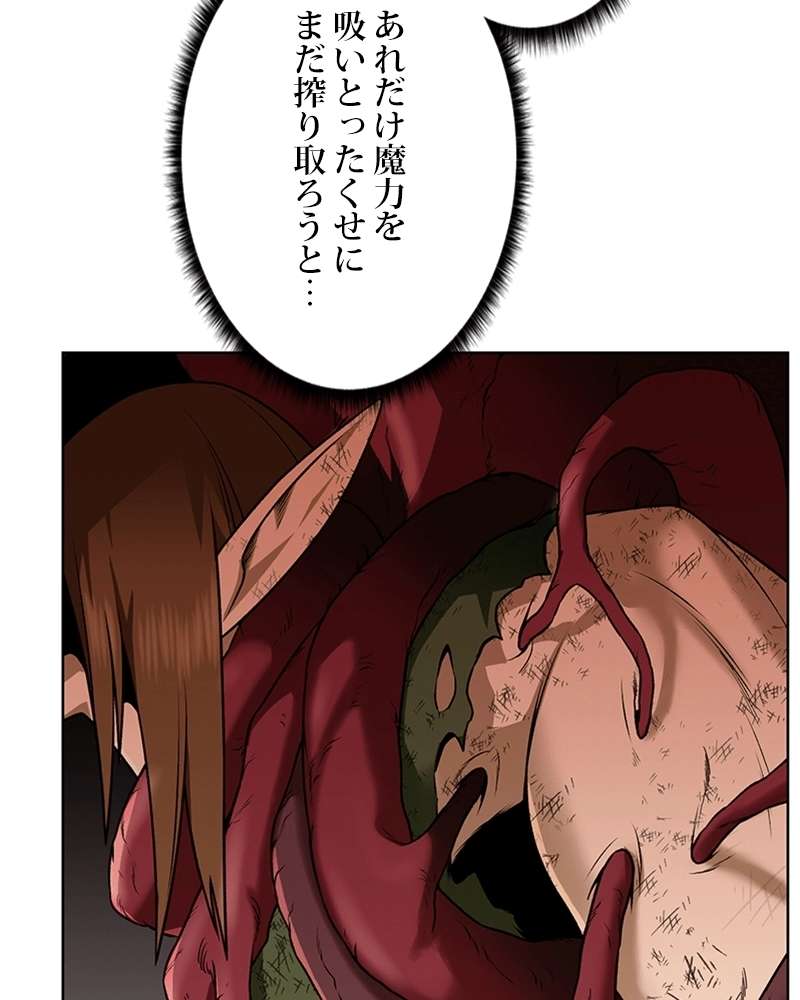 P61