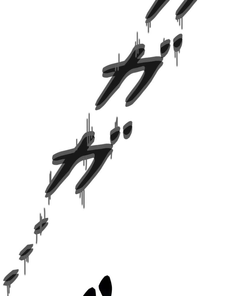 P63