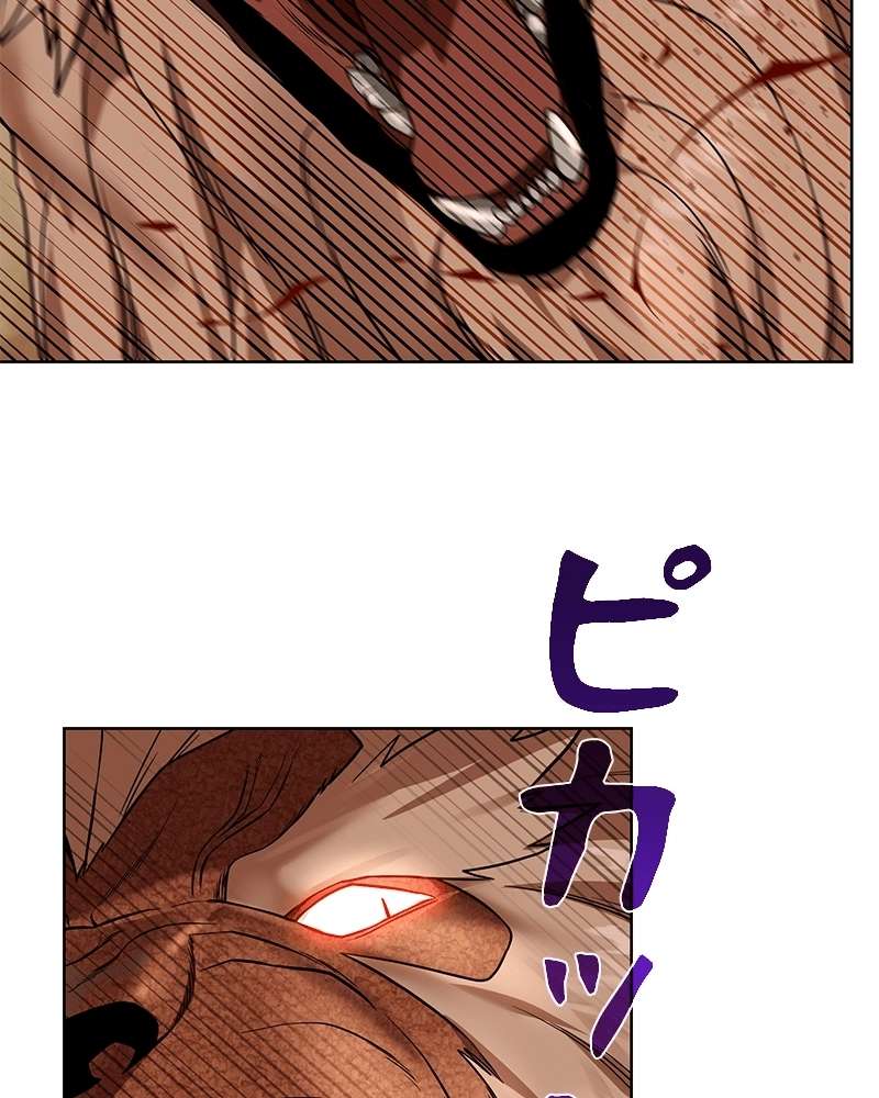 P113