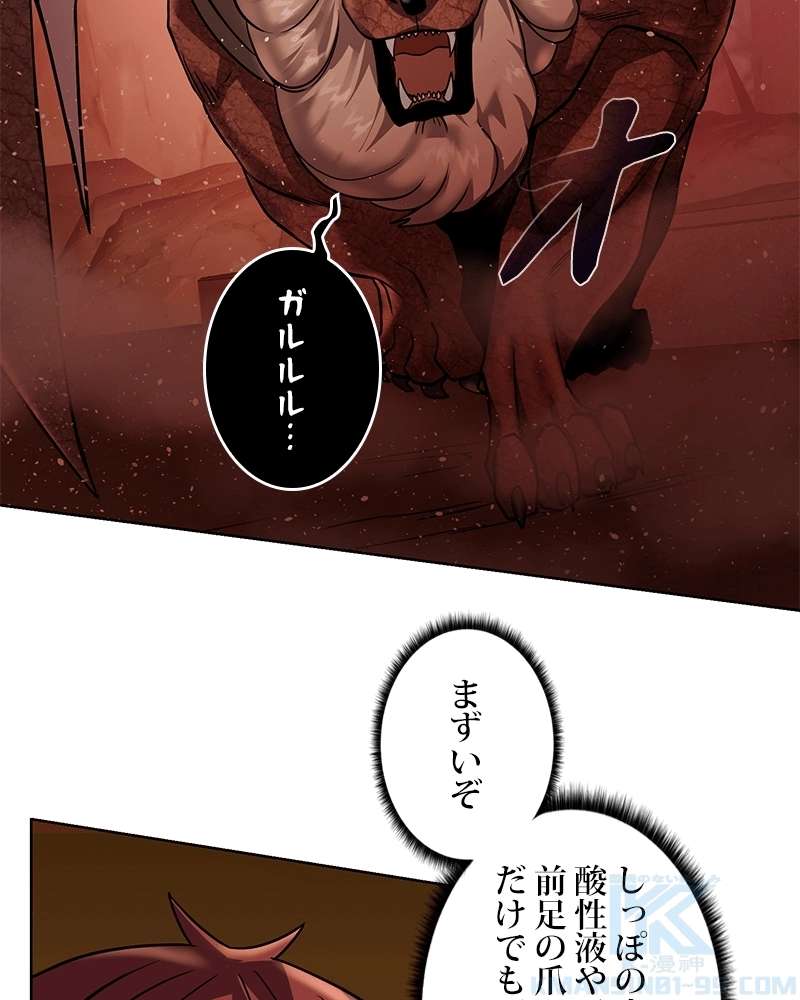 P58