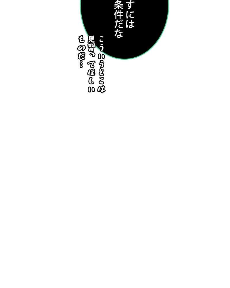 P63