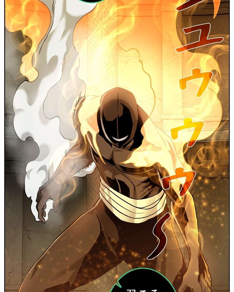 P113