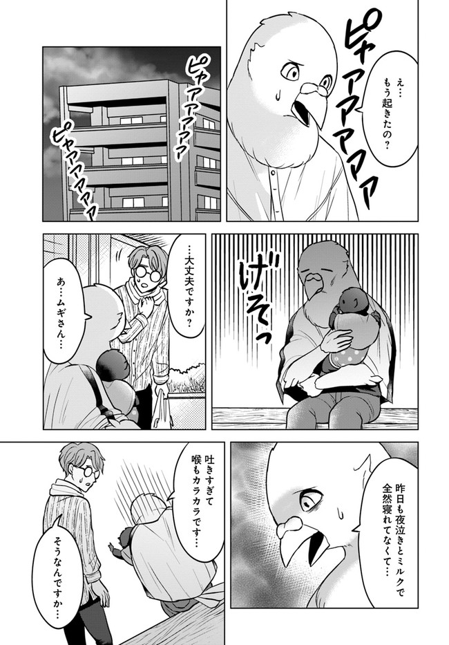 P11