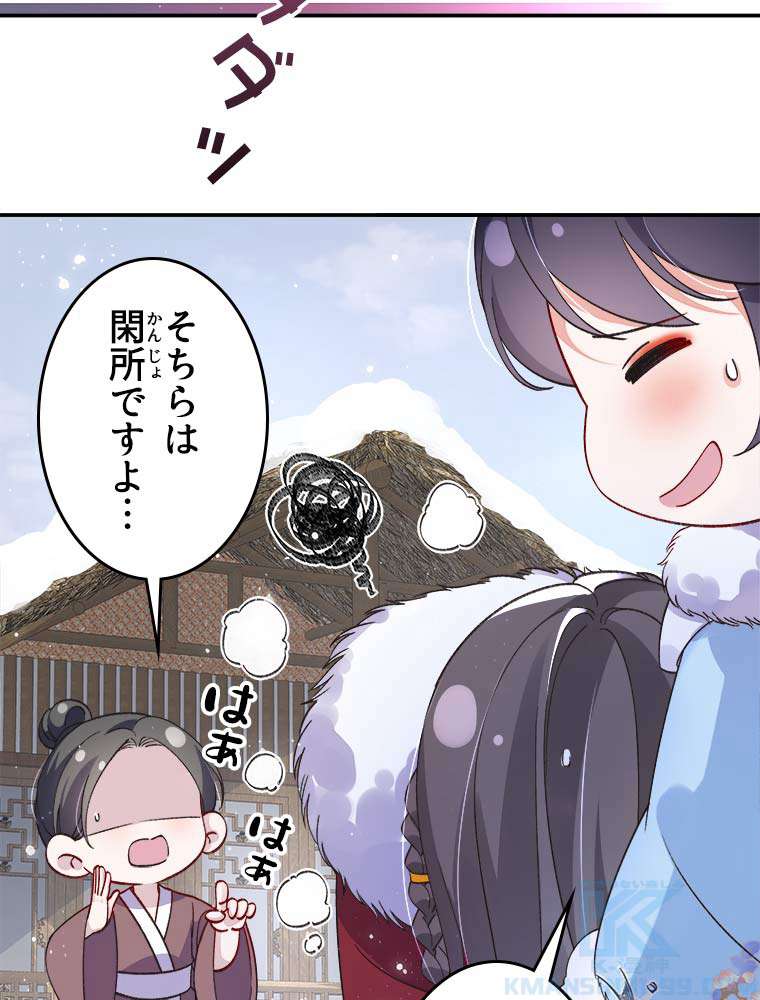 P61