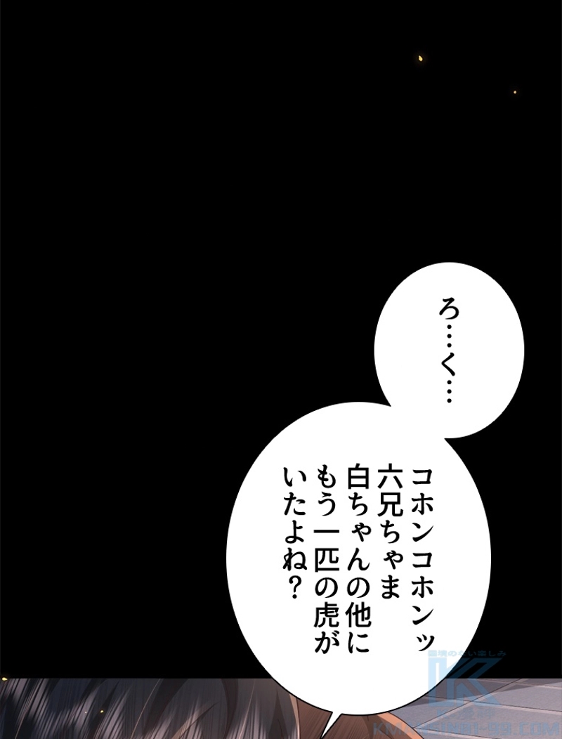 P58