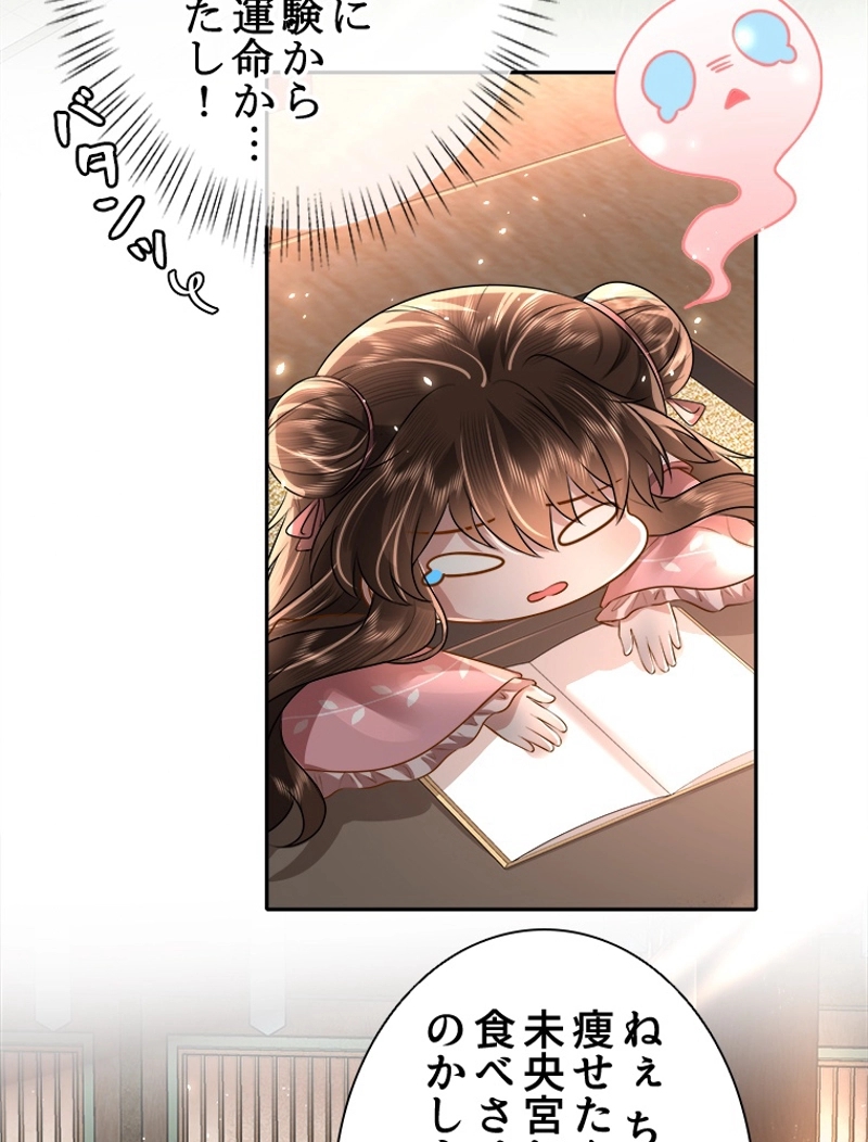 P24