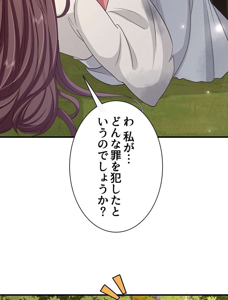 P53