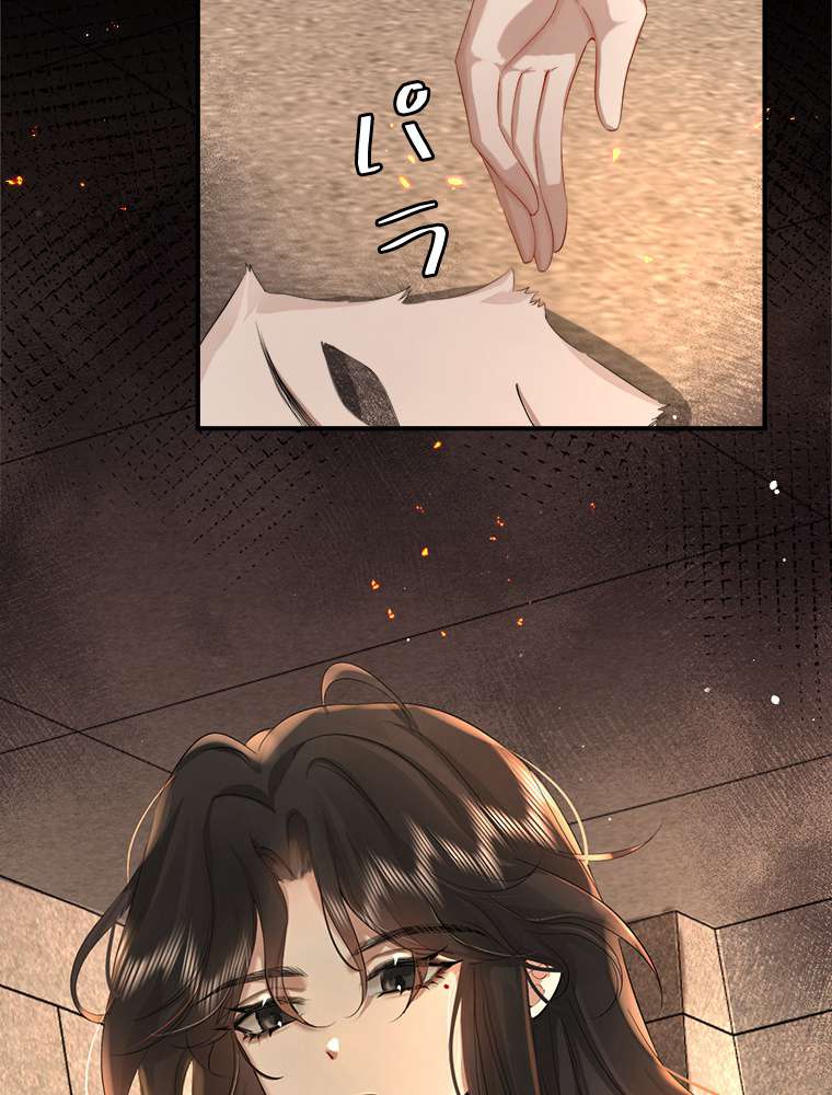 P24