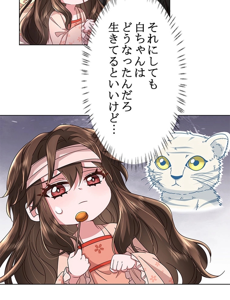 P44