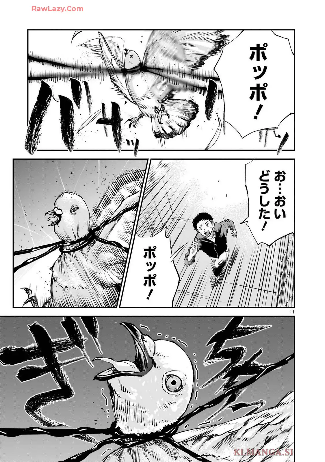 P11