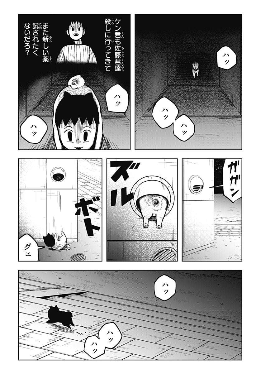 P4