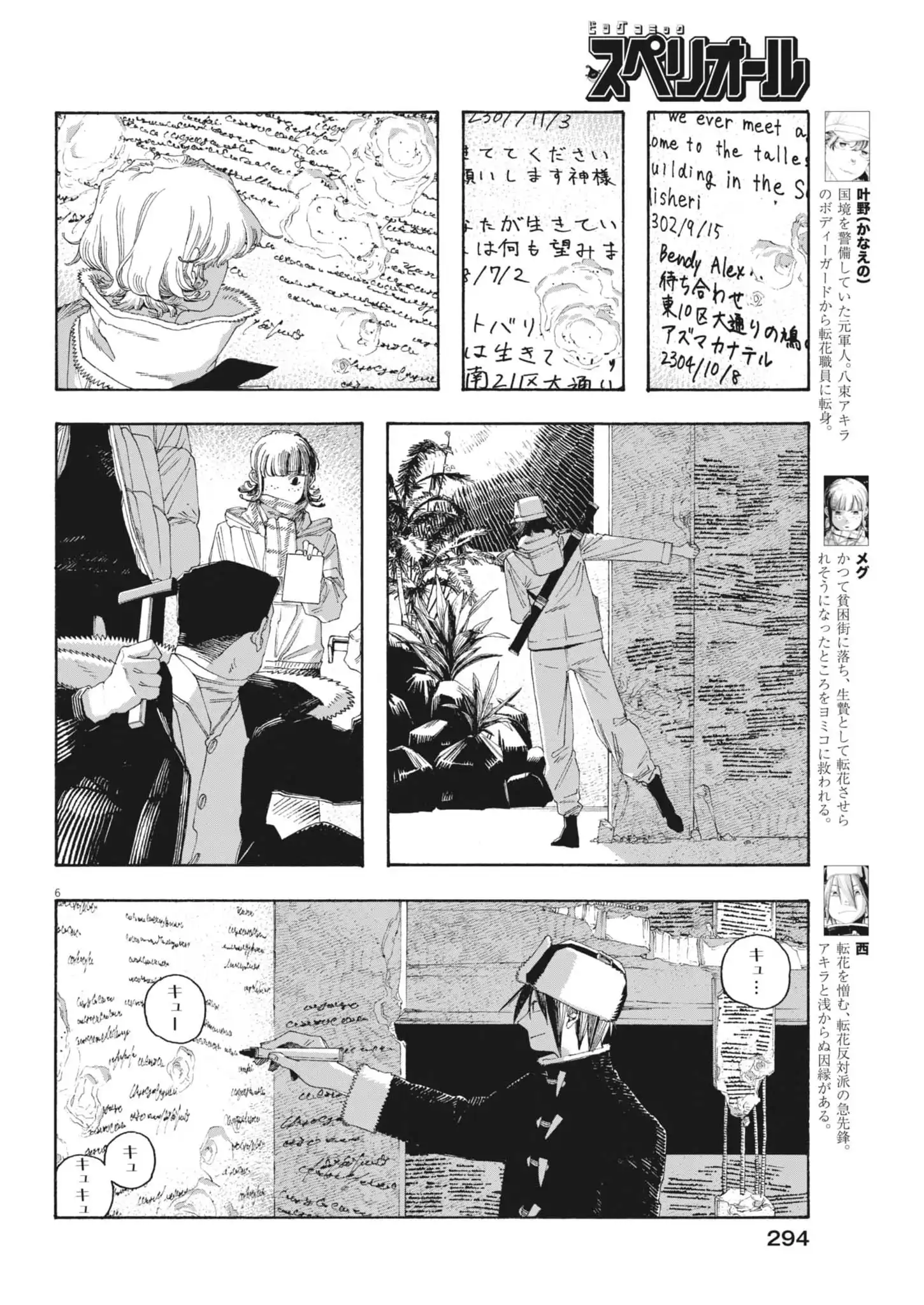 P6