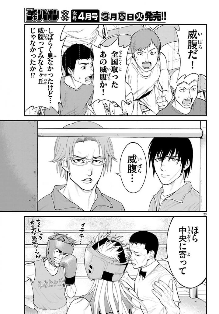 P29