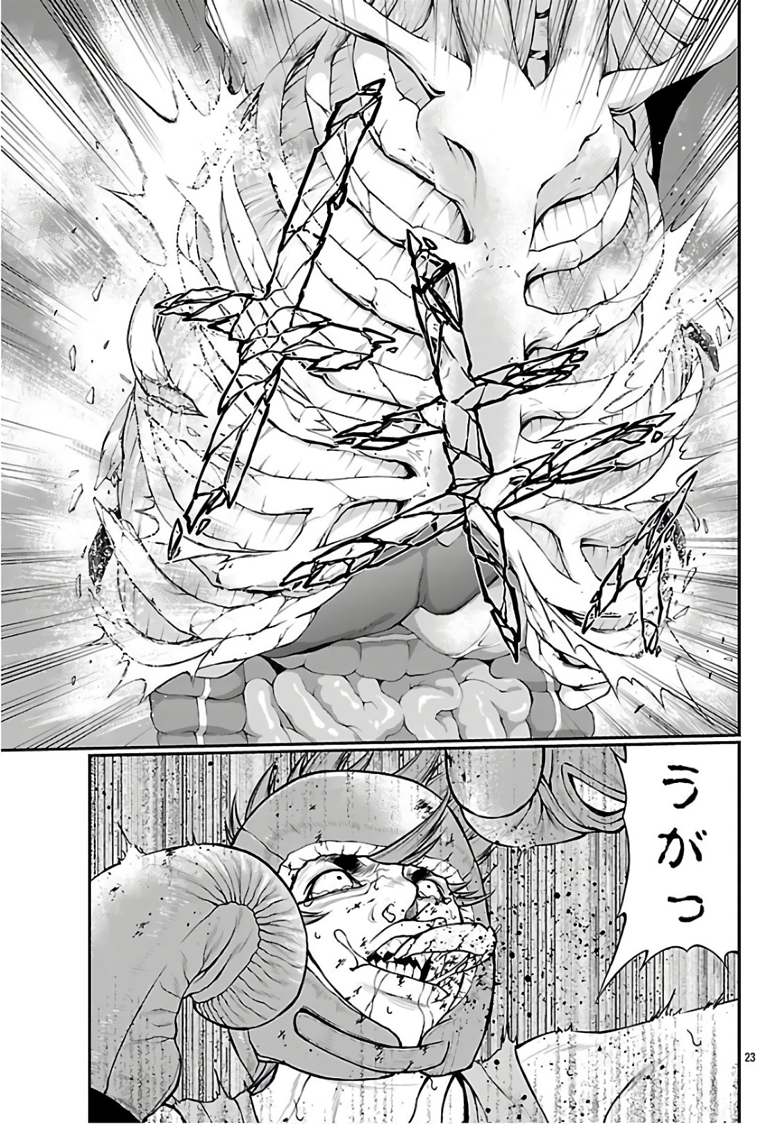 P23